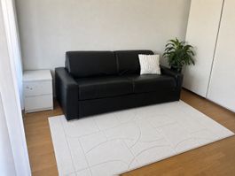 Schlafsofa 4-Sitzer - Liegefläche 160x200 cm  -Büffelleder