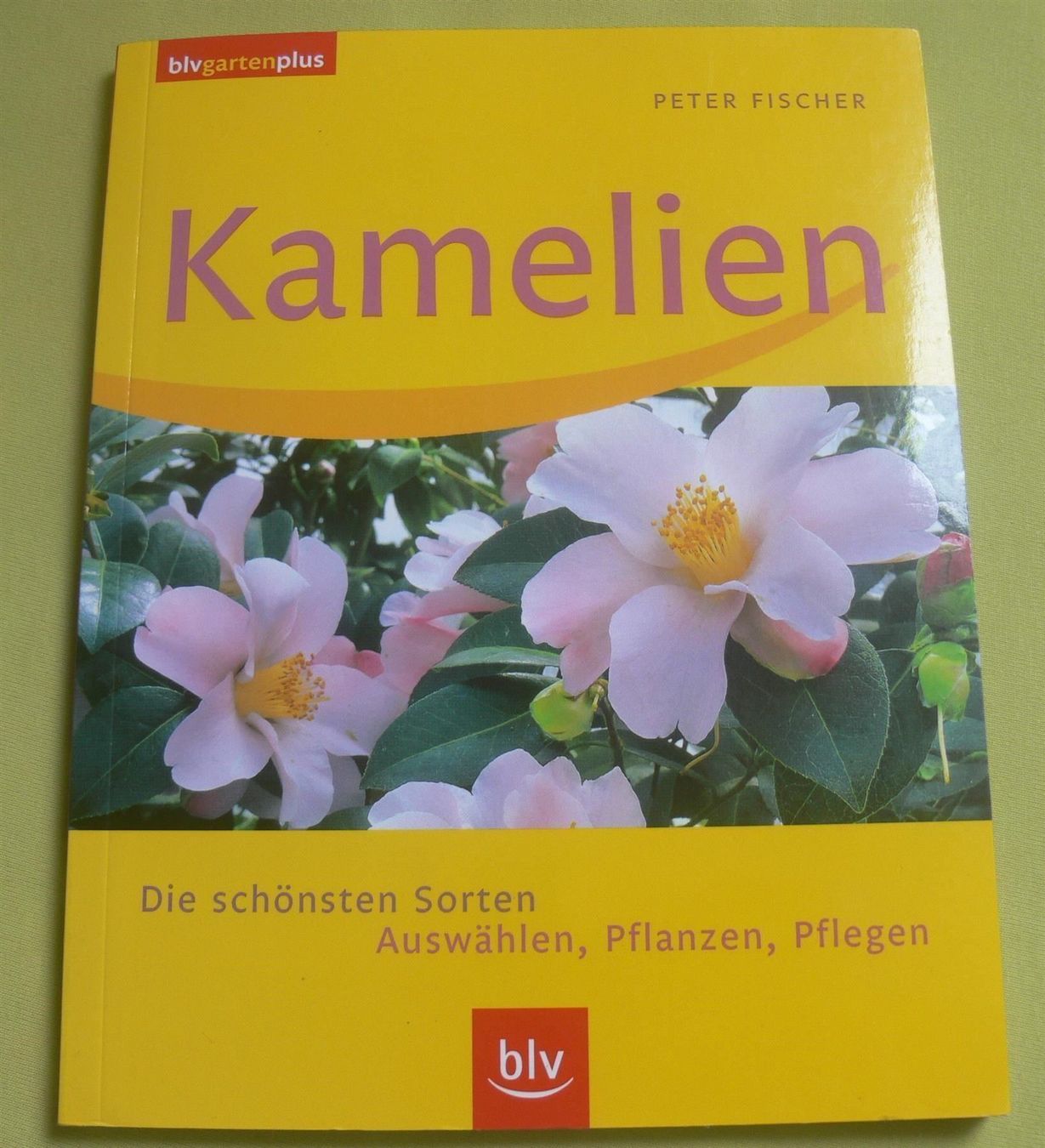 Libri: Kamelien / blv 2005 -Peter Fischer - Die schönsten Sorten .. – Usato da Muttenz venduto da Negnuja