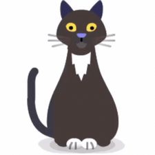 Profile image of sid_ch