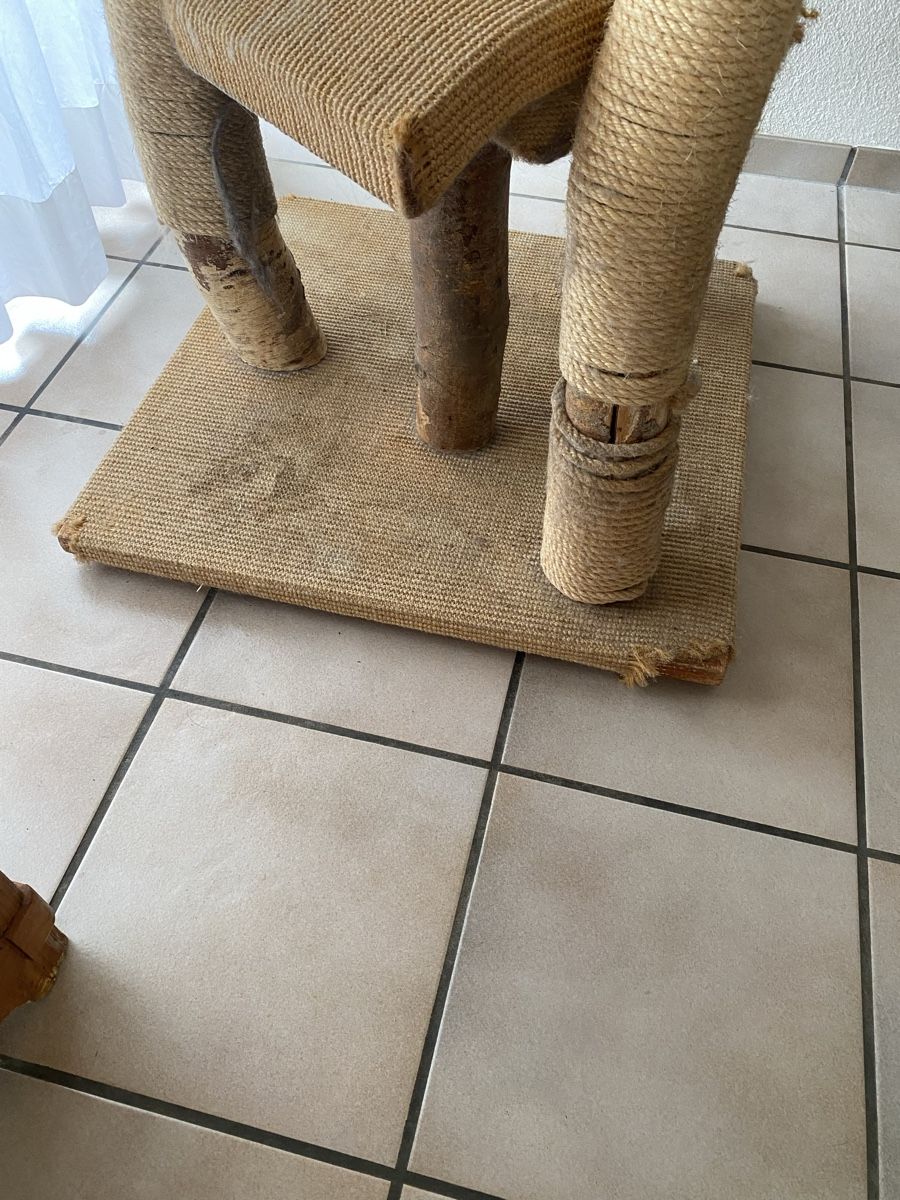 Tiragraffi: Grosser Katzenbaum – Usato da Fislisbach venduto da Hape40 2