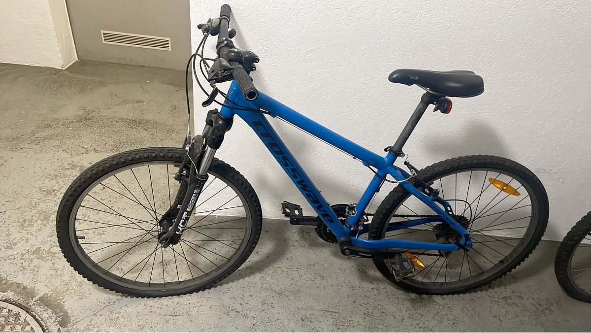 Crosswave Biciclette: Gebrauchtes Crosswave Mountainbike – Usato da Wil SG venduto da Wanessamoccia17