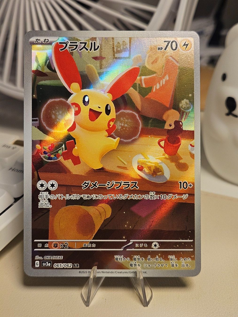 Pokémon Carte collezionabili: Pokemon Plusle (sv3a 065) - Raging Surf – Usato da Dübendorf venduto da CRZH
