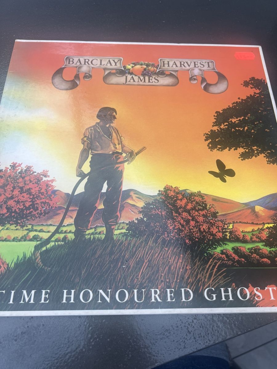 Schallplatten: Schalplatte Time Honoured Ghosts – Gebraucht aus Gränichen von aaraupaedle