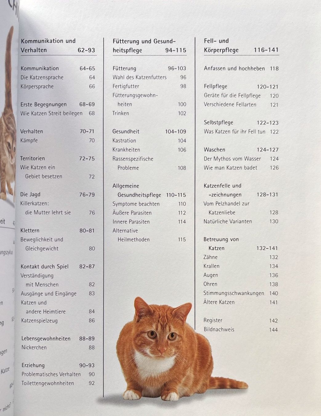 Libri: Alderton David, Die Katze der kleine Tiger – Nuovo (secondo la descrizione) da Sarnen venduto da Livres 3