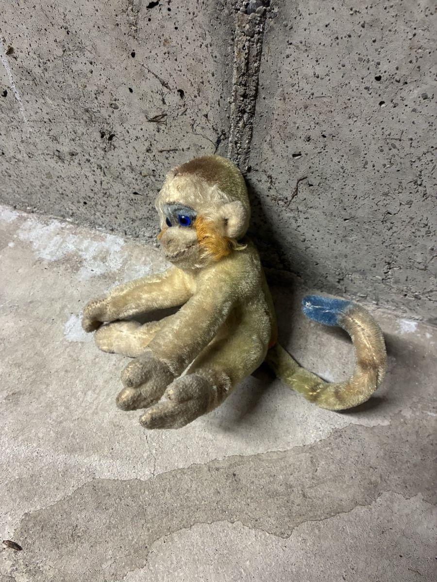 Steiff Spielzeuge: Plüschtiere Sammlung Steiff – Gebraucht aus Oberrohrdorf von Primann 5