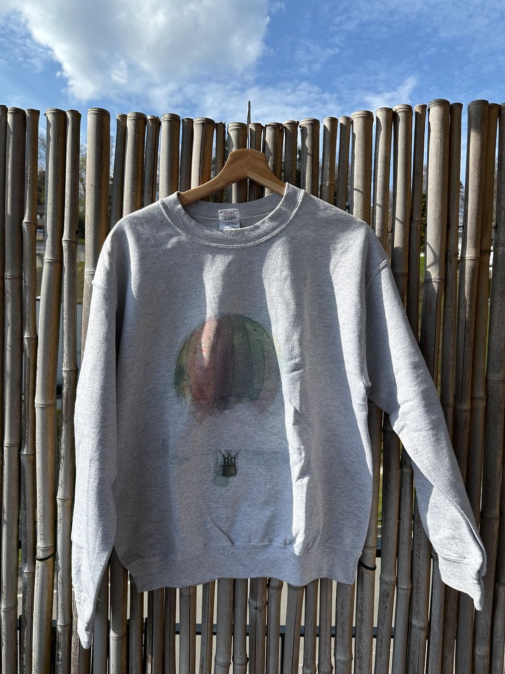 Maglioni & Felpe: Gildan Sweatshirt, size M, Grey with Balloon Design – Usato da Hausen am Albis venduto da fra_j5bg