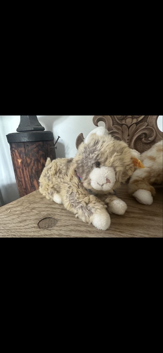 Steiff Giocattoli: Steiff Katzen Kuscheltiere – Usato da Menzingen venduto da vannessa.studer 2
