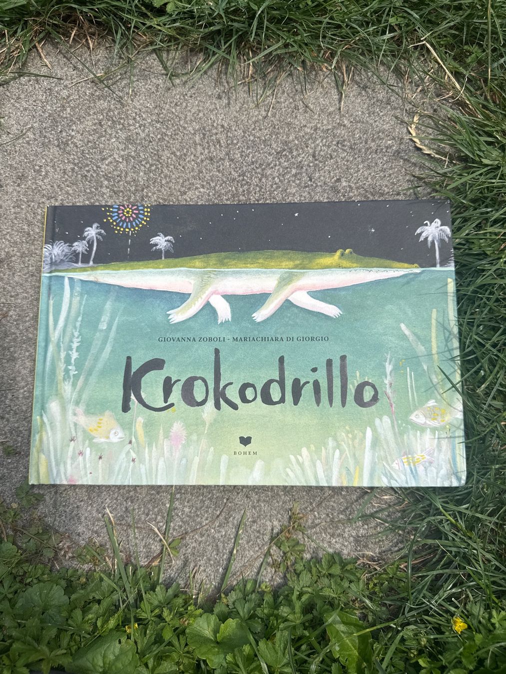 Bücher: Krokodrillo Kinderbuch guter Zustand – Gebraucht aus Zürich von 1Rarestack1