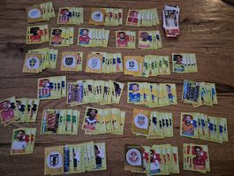 360 stück WM 2026 Panini Sticker inkl 1extra u. cocacola sti