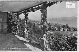 Wädenswil vom Schloss aus
