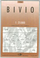 Landkarte Bivio 2000