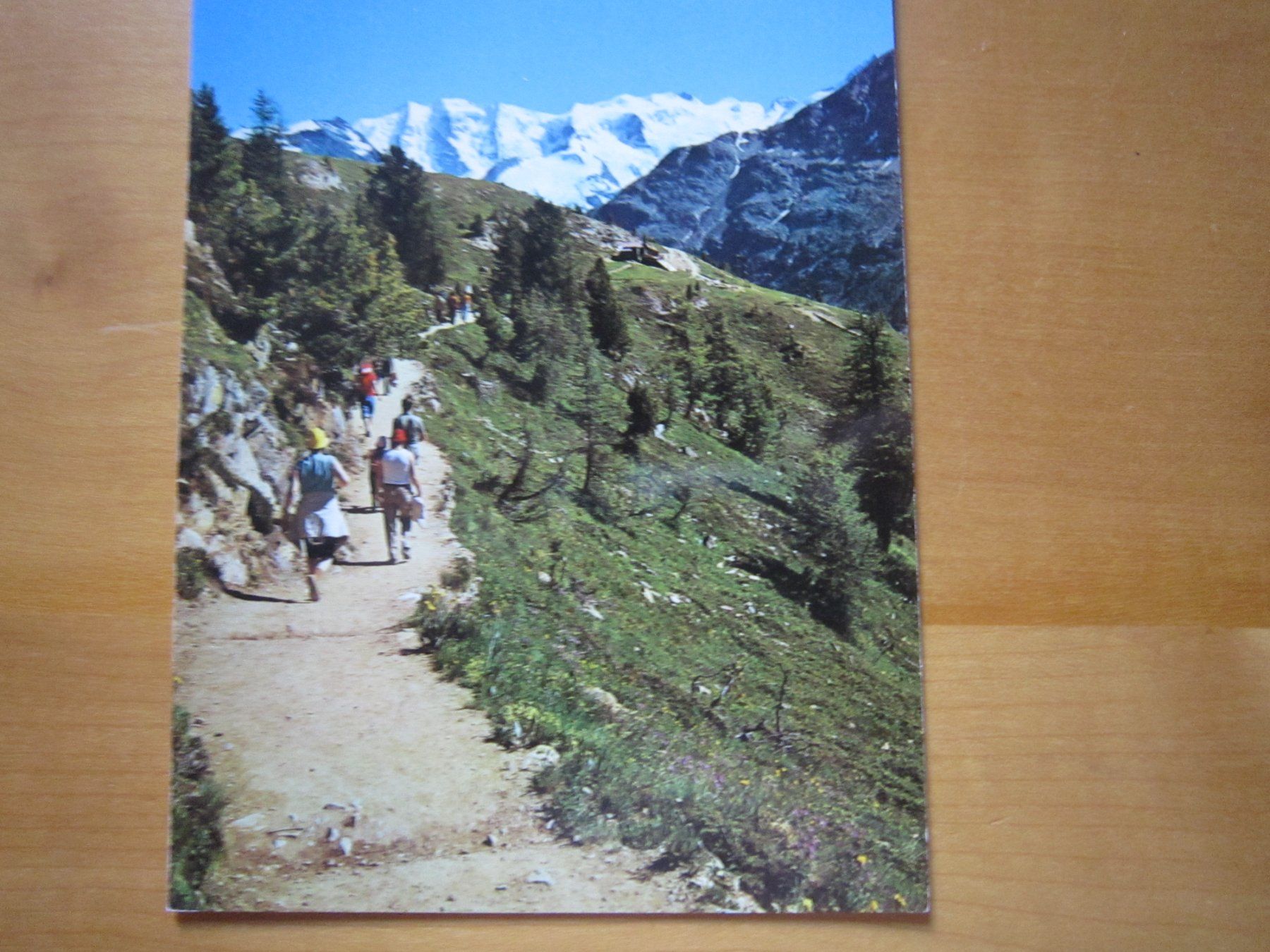 Cartoline postali: Bernina und Berninagruppe – Usato da Gordola venduto da Polentaefung 5
