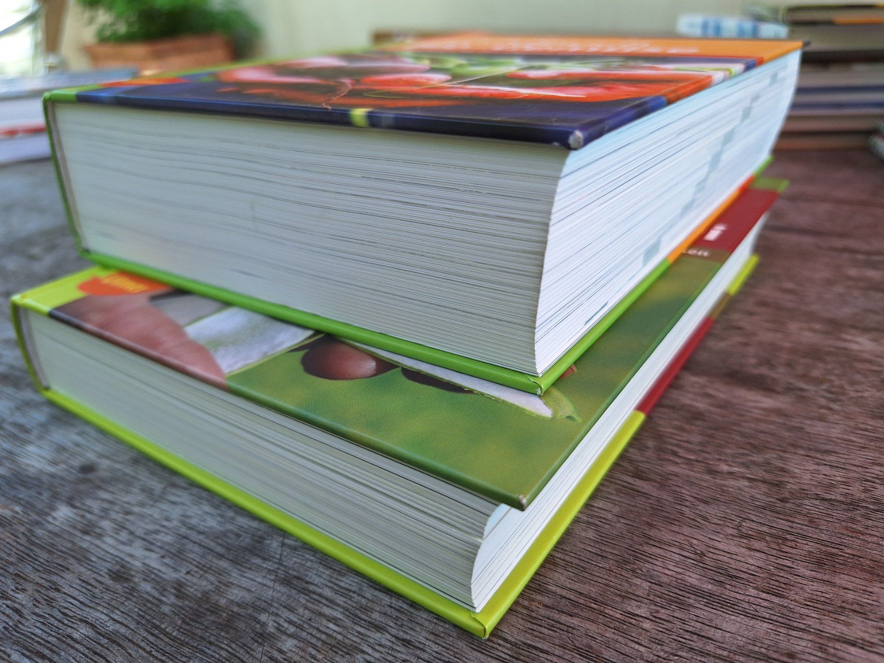 Bücher: Handbuch Samengärtnerei & Bio-Gemüs -  2 Bücher – Gebraucht aus Huttwil von Kunterbuntli 3
