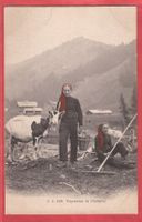 Paysannes de Champéry - ca. 1905