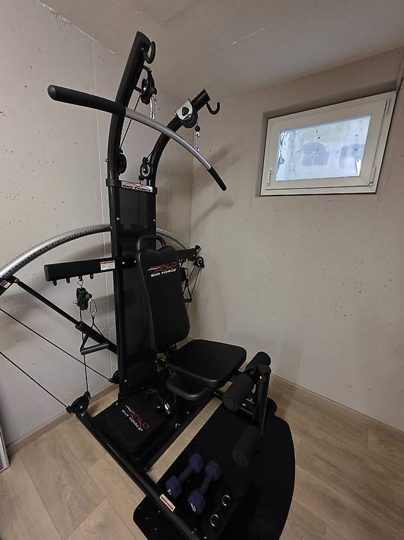 Hometrainer: Kraftstation Finnlo Bio Force – Usato da Scherzingen venduto da Shayandine
