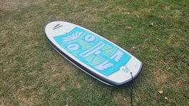 Indiana Foil Board 6'3 110l