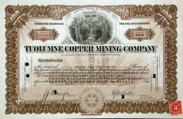 Tuolumne Copper Mining Company - 1913