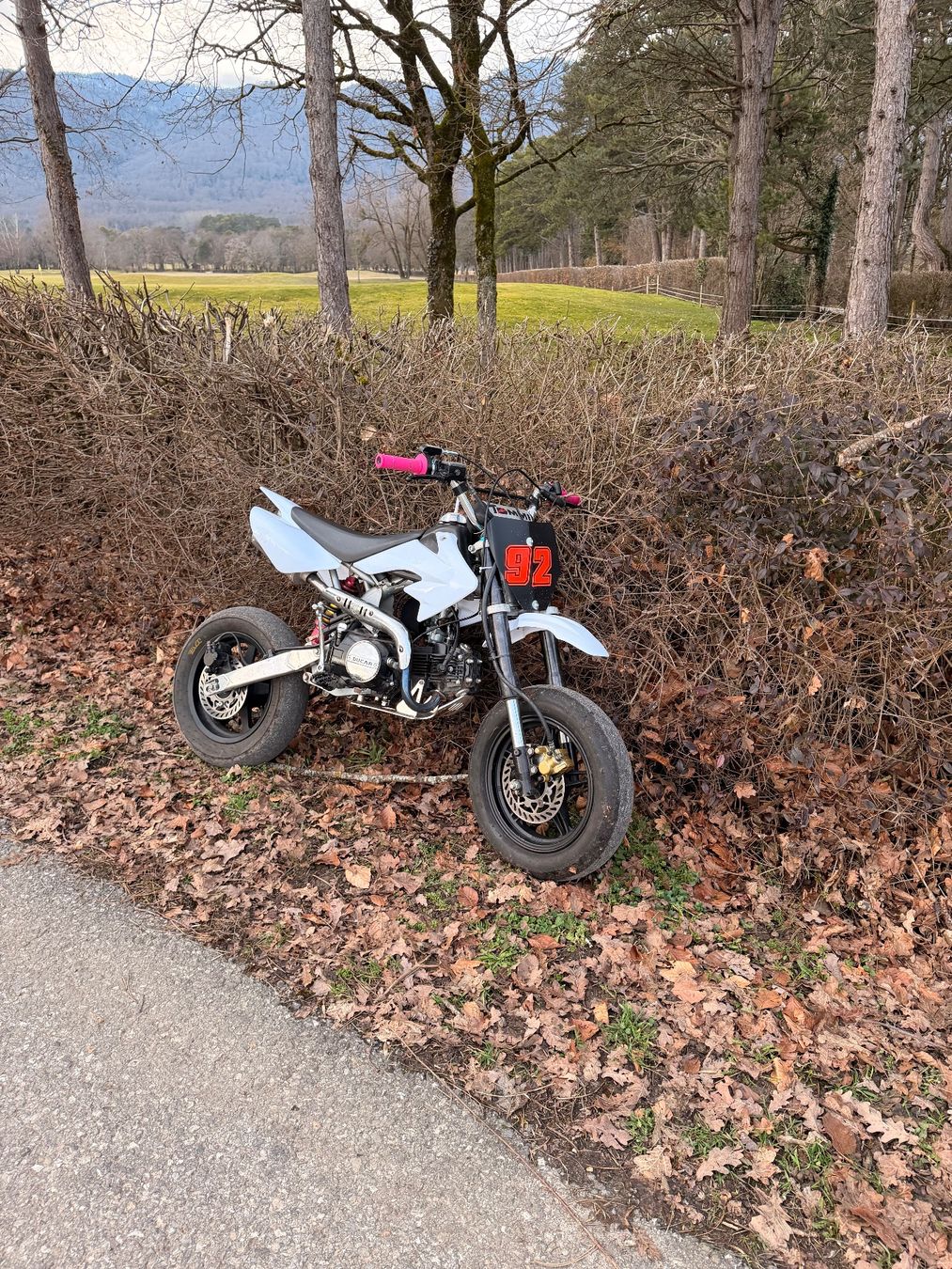 Mini Bike: Pit Bike 2 in 1 – Usato da Chéserex venduto da noa.schwab