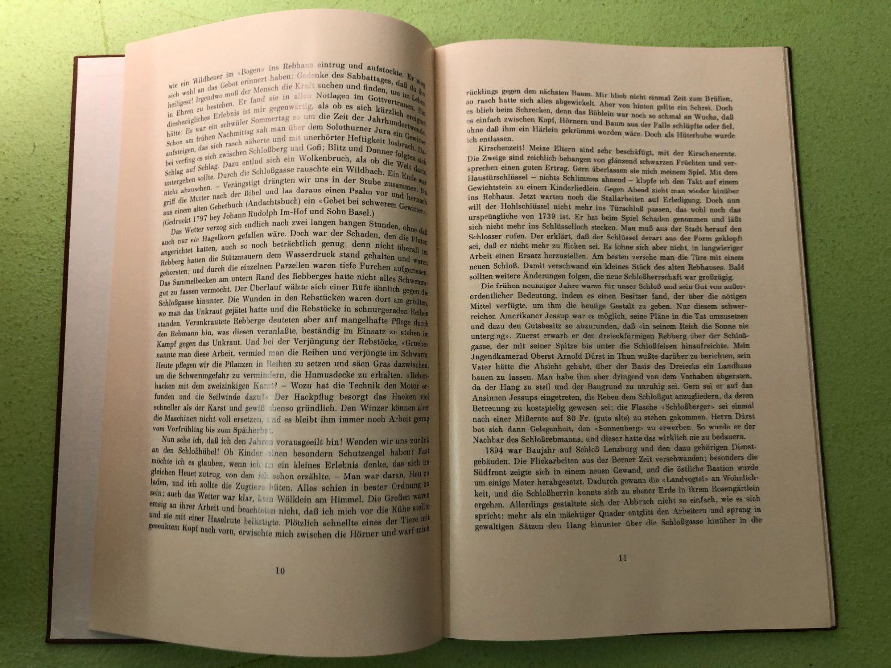 Libri: Alfred Häusermann: Aus der Jugendzeit – Usato da Zürich venduto da allp 3