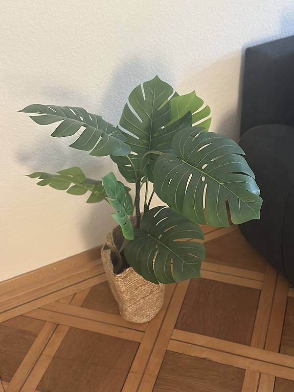 Pflanzen & Samen: Kunstpflanzen / Fejka Ikea – Neu und originalverpackt aus Bern von ilariamaria 1