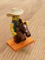 Lego Minifiguren Serie 18 - Nr. 15