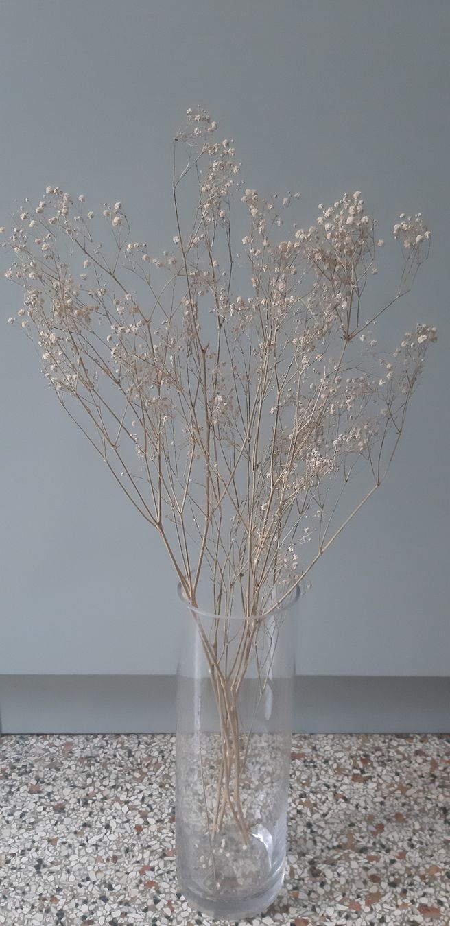 Vasi & Recipienti: Vase mit Trockenblumen – Nuovo e nell'imballaggio originale da Zürich venduto da Venecia25