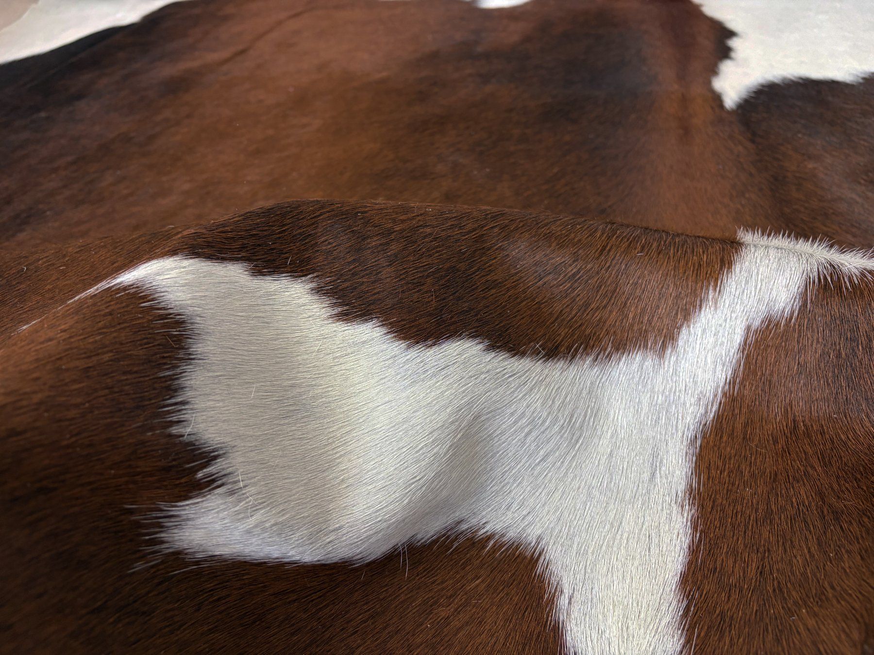Tappeti: echtes Kuhfell Teppich exotic tricolor – Nuovo e nell'imballaggio originale da Arbedo venduto da patagonialeatherrugs 4