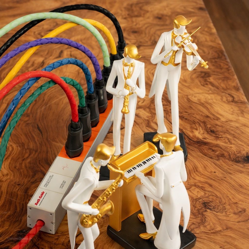 Spine: Roth Cable Steckdosenleiste High End, geschirmt, Netzfilter – Nuovo e nell'imballaggio originale da Gossau ZH venduto da Axismundi_88 2