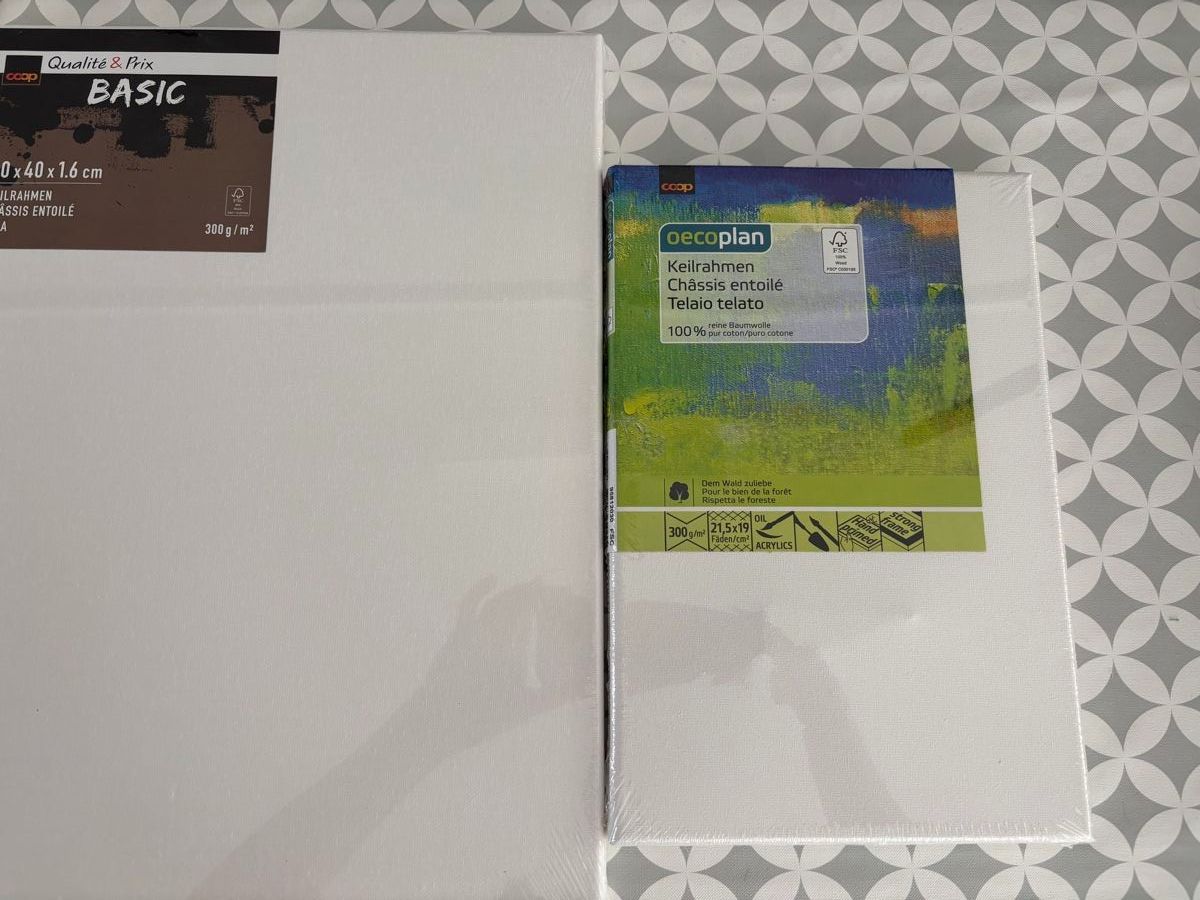 Poster & Bilder: 3 versch. Malleinwände – Neu und originalverpackt aus Herzogenbuchsee von ameise02 1