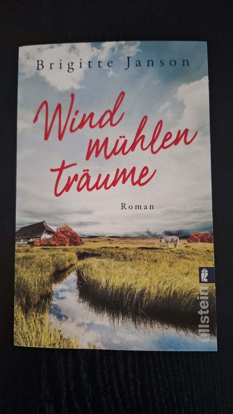 Libri: Roman • Windmühlenträume • Brigitte Janson – Usato da Ottenbach venduto da Rasenmaeeher