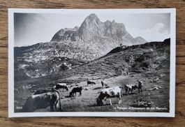 Le Plateau d'Emasson, Hüttenstempel Barberine