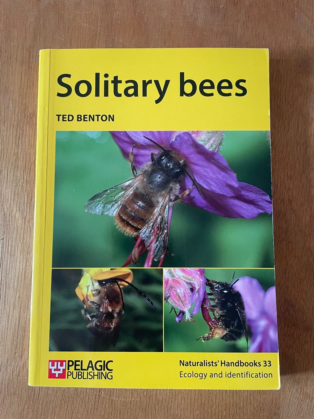 Libri: Ted Benton. Solitary bees – Usato da Zürich venduto da WWehrle