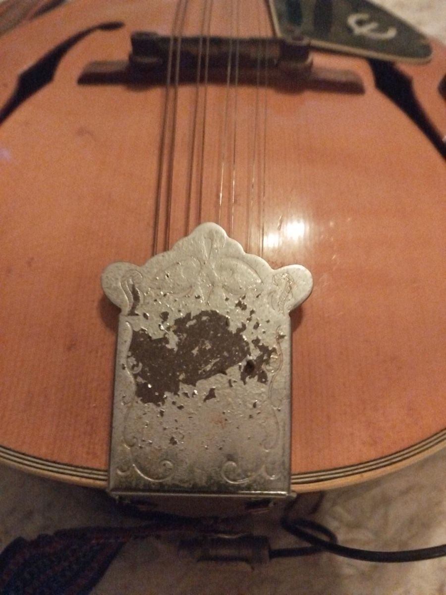 Epiphone Strumenti musicali: Vintage Epiphone Mandoline – Usato da Schönenbuch venduto da ElStigg 5