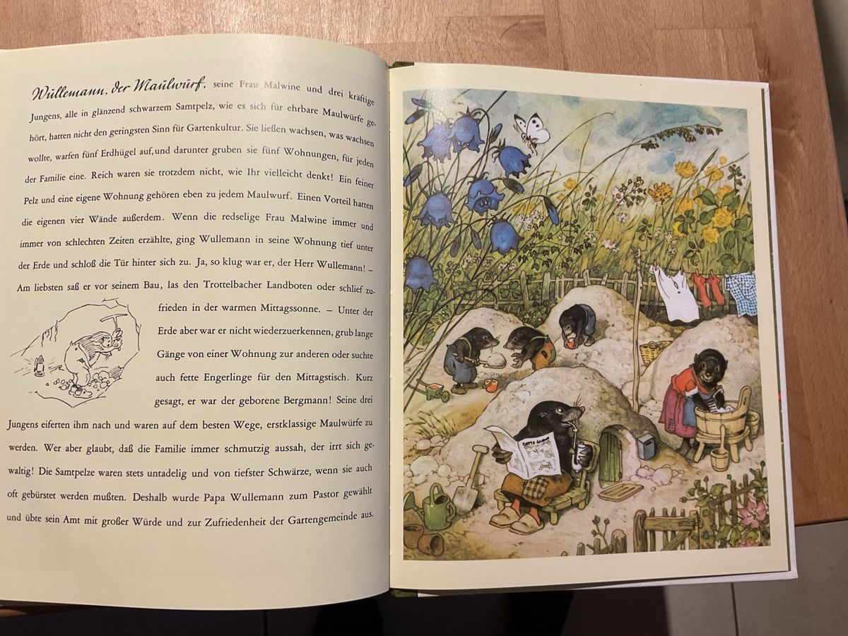 Libri: Gartengemeinschaft Malepünke, 4+ – Nuovo (secondo la descrizione) da Wil ZH venduto da RiccardaWegmann 8