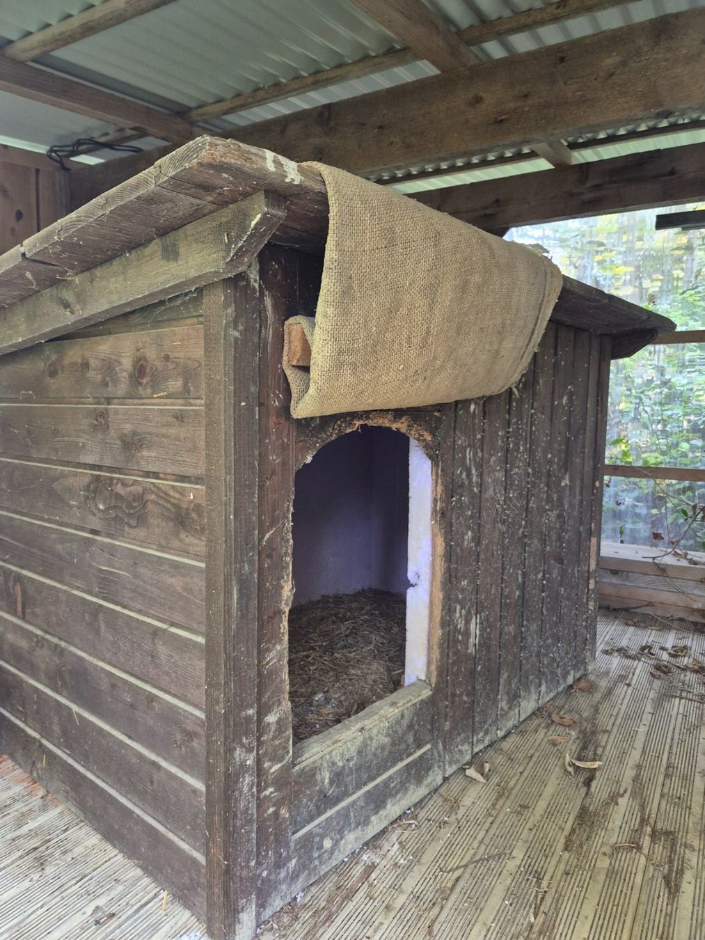 Liege- & Schlafplätze: Hundehütte Isoliert – Gebraucht aus Willerzell von Adlerhorst_14
