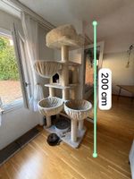 Grosser Katzenbaum 