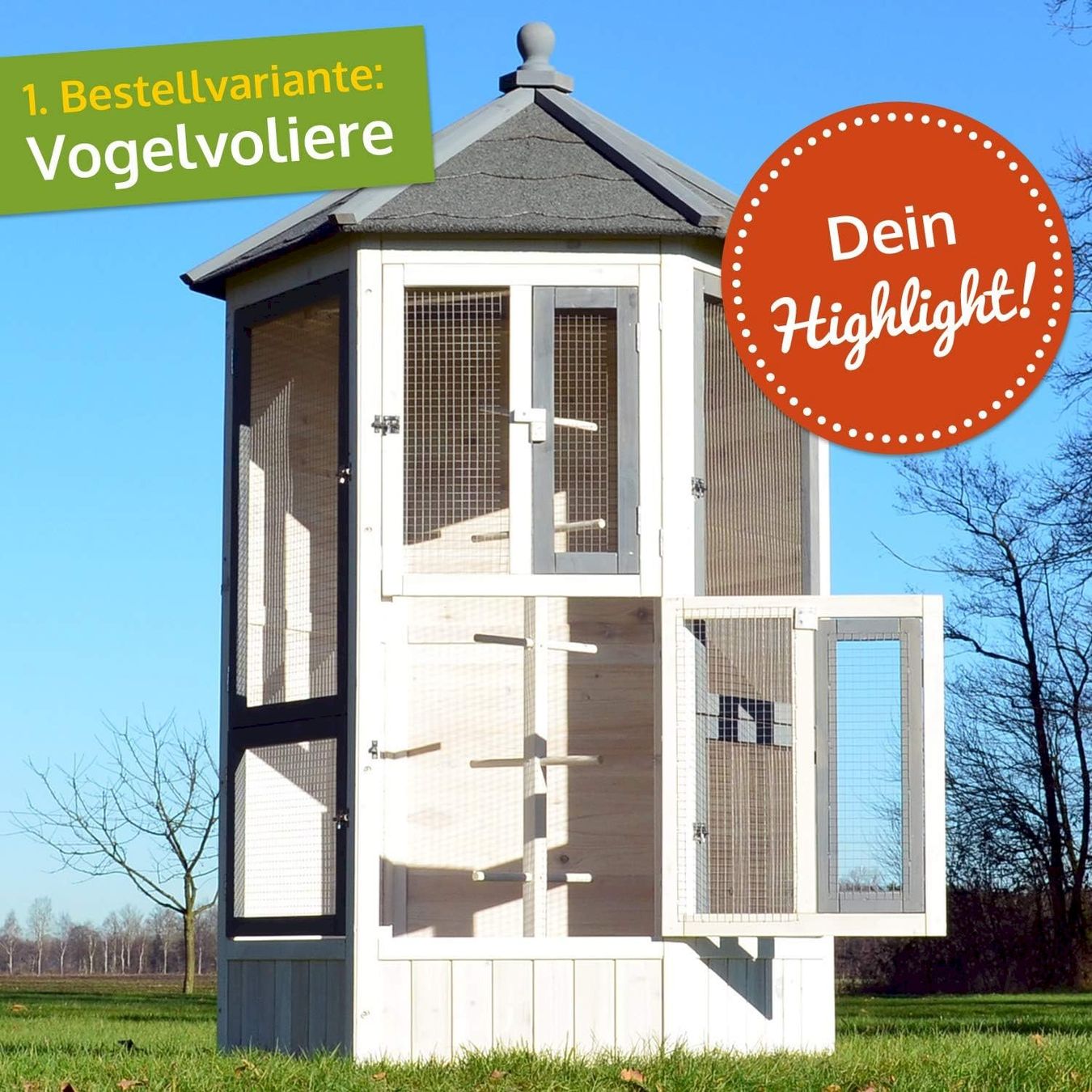 Gabbie, trasporto & Sicurezza: Vogelvoliere Luise Vollholz + Sitzstange – Nuovo e nell'imballaggio originale da Bottighofen venduto da zaap 1