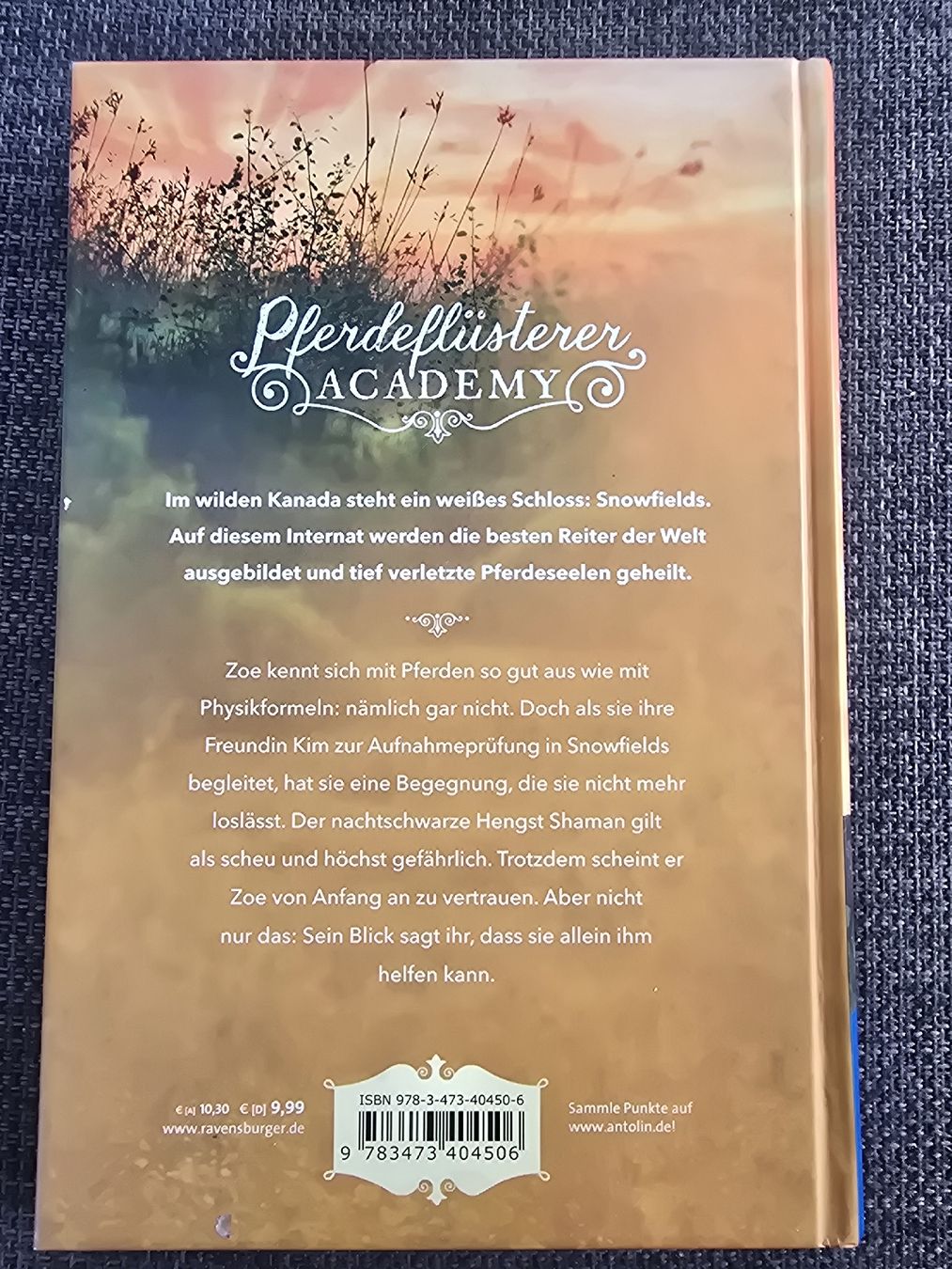 Livres: Buch Pferdeflüsterer – D'occasion à Lostorf par Venice16 1