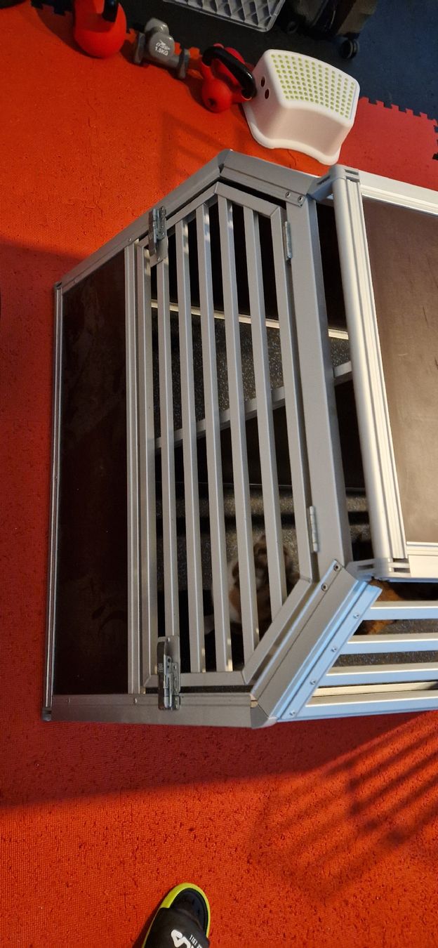 Käfige, Transport & Sicherheit: Schmitt Hundebox Doppel – Gebraucht aus Stallikon von maverikmk2 2