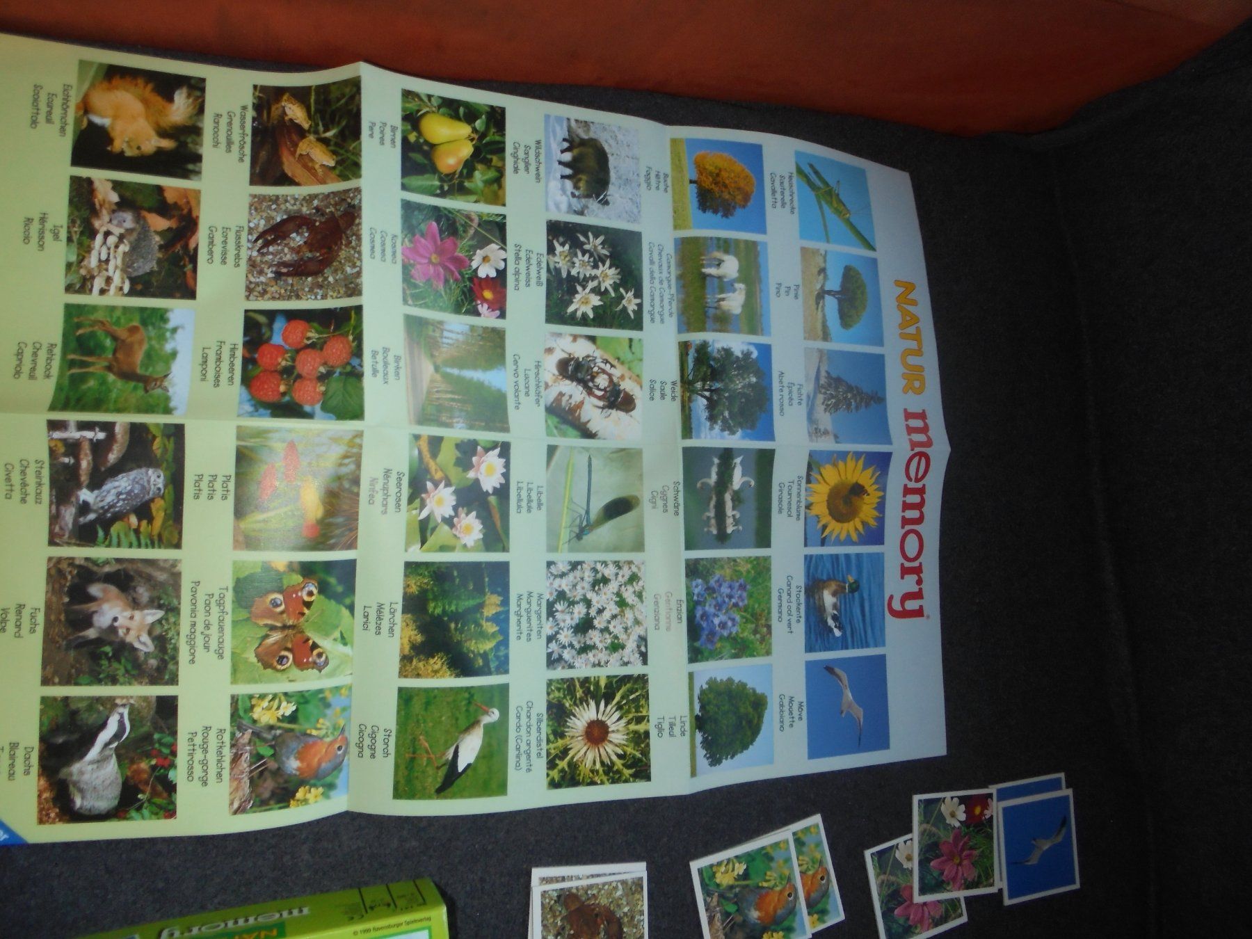 Ravensburger Giochi: Ravensburger Natur Memory 72 Kratern Spiel mit Poster – Usato da Rüschegg-Heubach venduto da Ofen111 7