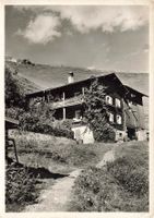 Simishus peist thalwil