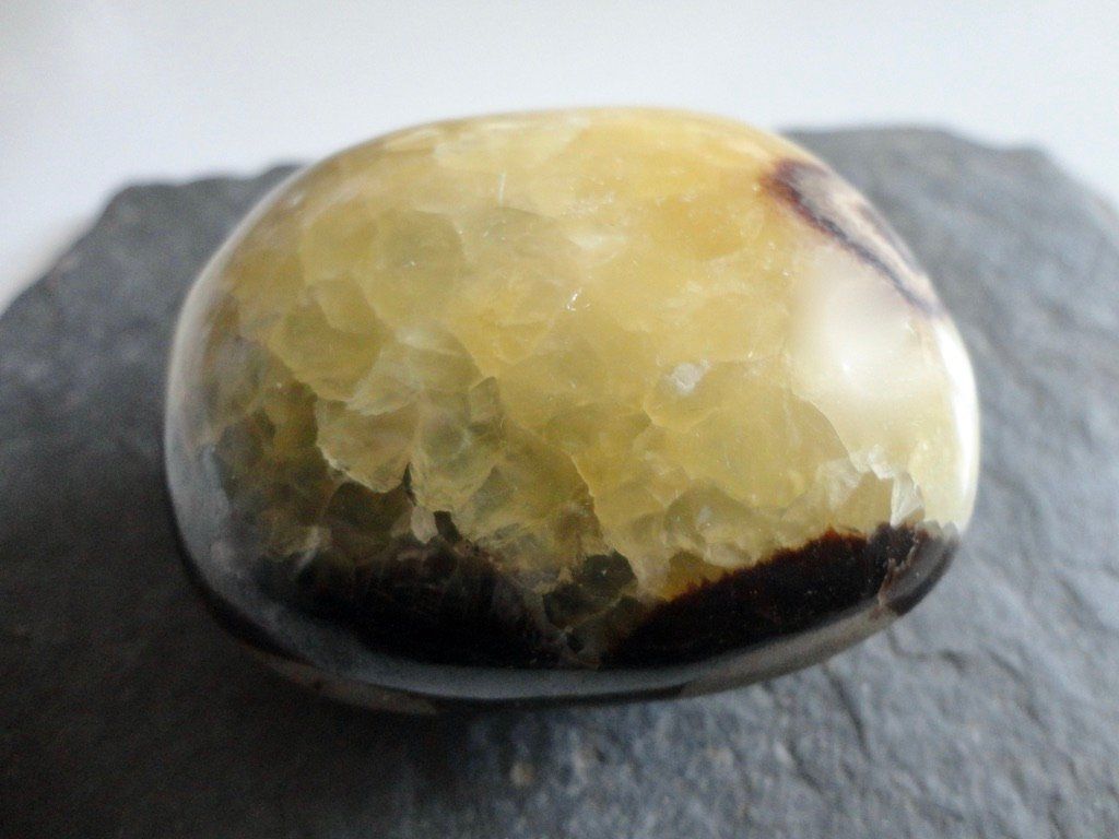 Minerali & Pietre curative: Septarien Heilstein – Nuovo (secondo la descrizione) da Biberist venduto da Steine 3