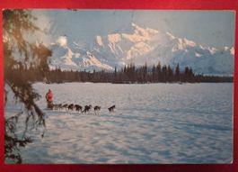 Alaska Hundeschlitten Mt McKinley 1990