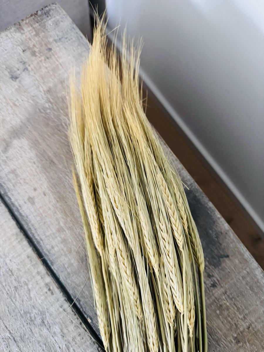 Alle Dekorationen: Trockenblumen – Neu und originalverpackt aus Zürich von sany07 1