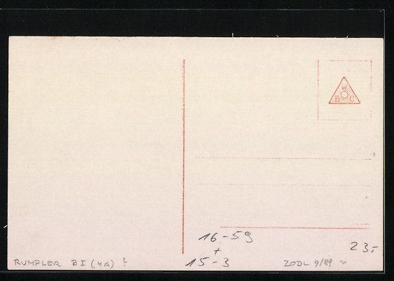 Cartoline postali: Foto-AK Sanke Nr. 271: Rumpler-Doppeldec – Usato da Berlin venduto da bartko-reher 1