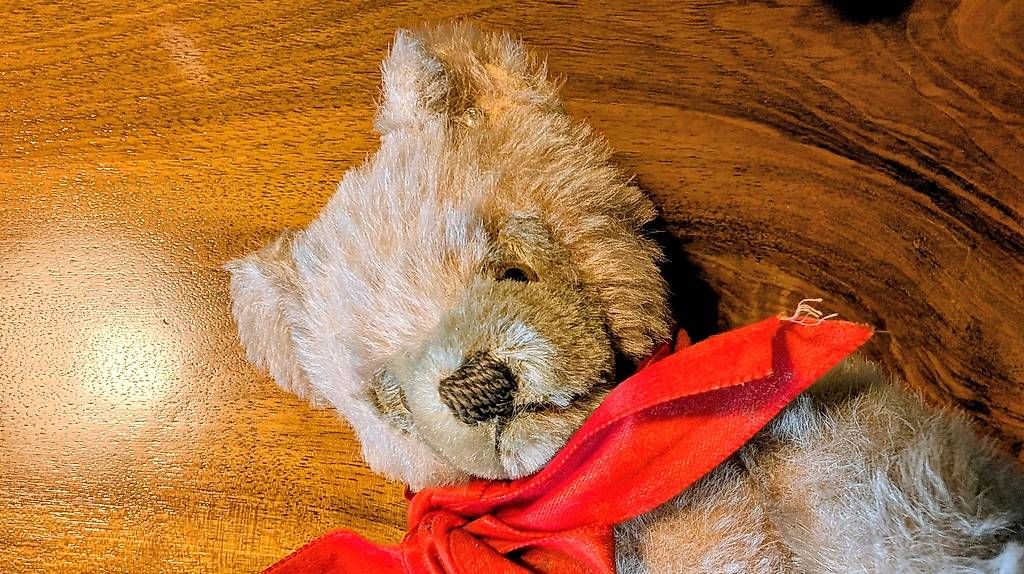 Jouets: Steiff Teddy – D'occasion à Subingen par Rusti79 3