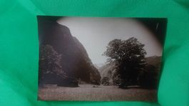 Altes Foto Tessin bicnasco um 1900 Brüder Büchi Locarno