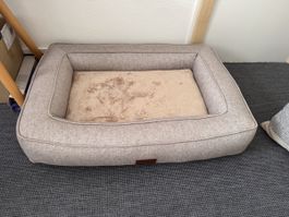 Petlando Orthobett Hund L