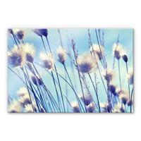Acrylglasbild Delgado 60x40cm (neu, UVP 108.00 Fr.)