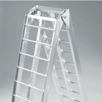 + 2x Auffahrrampen faltbar Aluminium 226cm 680 kg Laderampe